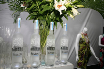 Картинка бренды напитков разное belvedere