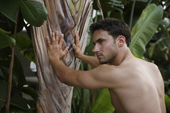 Картинка мужчины unsort спина пальма