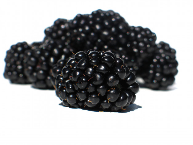 Обои картинки фото еда, ежевика, макро