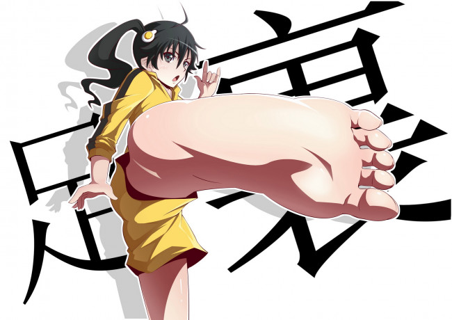 Обои картинки фото araragi, karen, аниме, bakemonogatari, nisemonogatari, форма, девушка, заколка