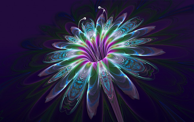 Обои картинки фото 3д, графика, flowers, цветы, лепестки