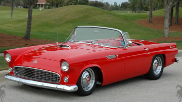 Картинка автомобили ford jubilee thunderbird diamond