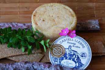 Картинка castell+llebre еда сырные+изделия сыр