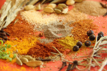 Картинка еда крупы +зерно +специи +семечки специи макро