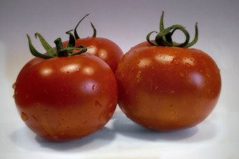 Картинка еда помидоры томаты