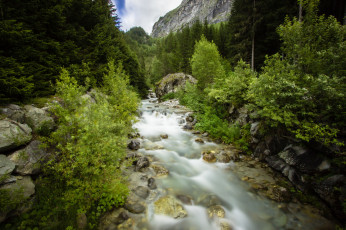 Картинка природа реки озера река зелень деревья