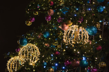 Картинка праздничные Ёлки ель гирлянды шары новый год ёлка