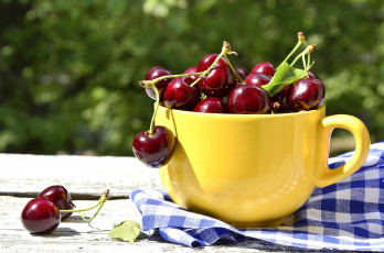 Картинка еда вишня +черешня чашка ягоды