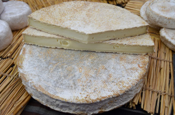 Картинка pla еда сырные+изделия сыр