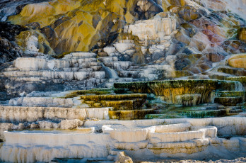 Картинка природа горы zion national park юта сша скалы деревья осень листья