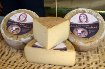 Картинка samunt& 224 +madurado еда сырные+изделия сыр