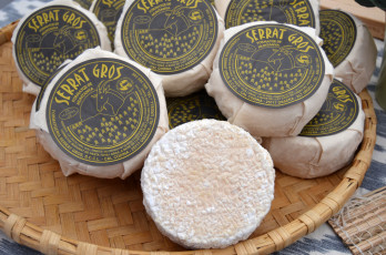 Картинка serrat+gros еда сырные+изделия сыр