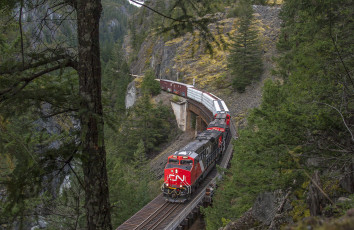 Картинка техника поезда железная дорога рельсы локомотив состав