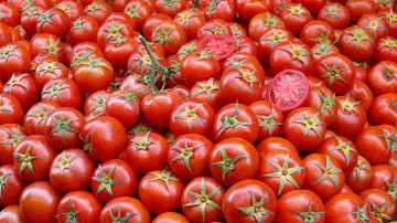 Картинка еда помидоры томаты