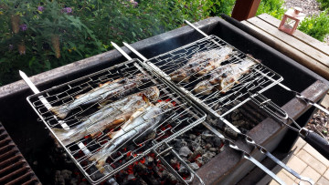 Картинка еда рыба +морепродукты +суши +роллы форель