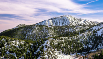 Картинка природа горы снег деревья ели небо