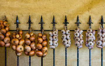 Картинка еда овощи чеснок лук