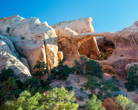 Обои картинки фото природа, горы, скалы, кусты, растения