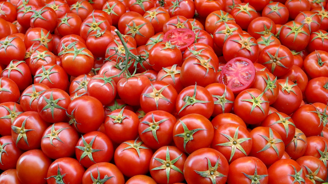 Обои картинки фото еда, помидоры, томаты