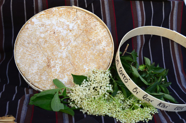 Обои картинки фото pla, еда, сырные изделия, сыр