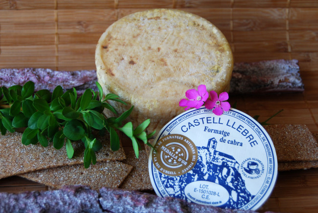 Обои картинки фото castell llebre, еда, сырные изделия, сыр