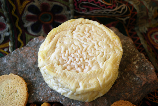 Обои картинки фото formatge mar&, 237, еда, сырные изделия, сыр