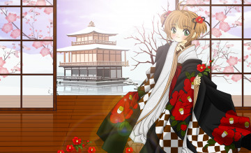 Картинка аниме card+captor+sakura фон взгляд девушка