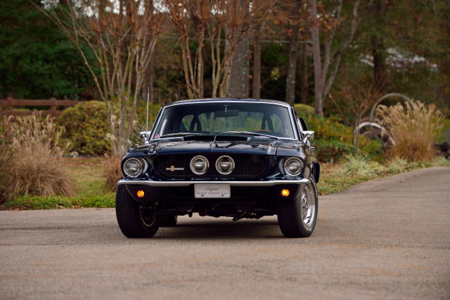 Обои картинки фото автомобили, mustang