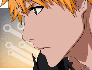 Картинка аниме bleach ичиго