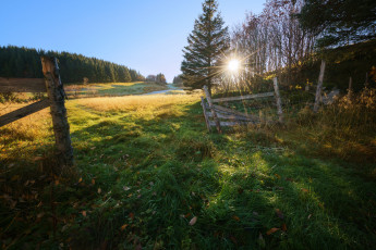 Картинка природа пейзажи рассвет