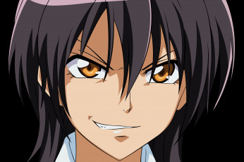 обоя аниме, kaichou wa maid-sama, девушка