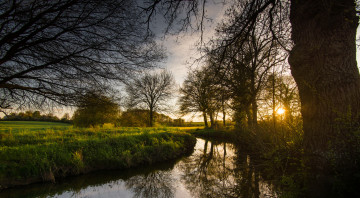 Картинка природа реки озера лес река