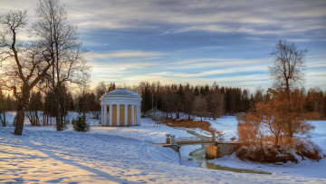 Картинка природа парк павловский зима россия павловск