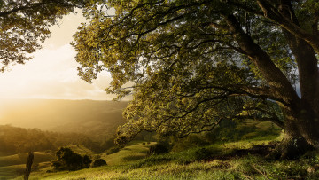 Картинка природа пейзажи рассвет