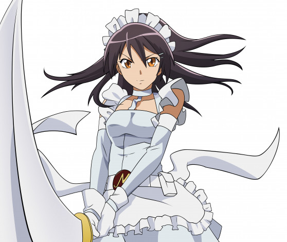 Обои картинки фото аниме, kaichou wa maid-sama, девушка