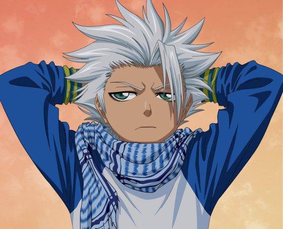 Обои картинки фото аниме, bleach, тоуширо