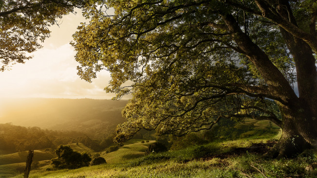 Обои картинки фото природа, пейзажи, рассвет