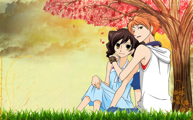 Обои картинки фото аниме, ouran high school host club, персонаж