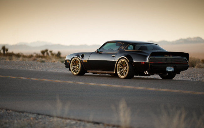 Обои картинки фото автомобили, pontiac