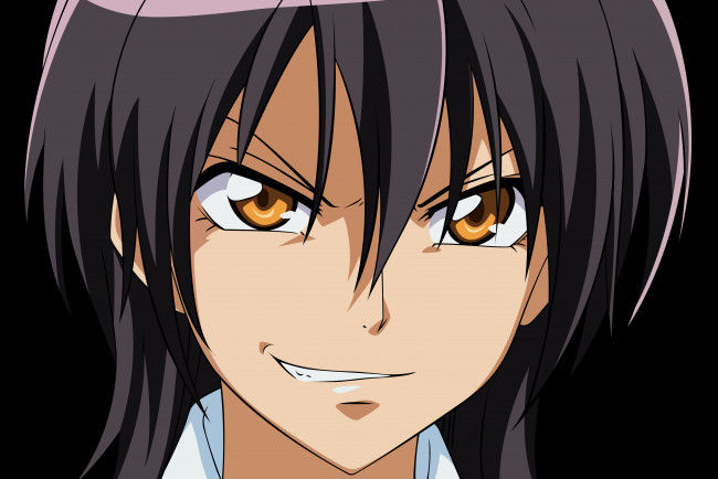 Обои картинки фото аниме, kaichou wa maid-sama, девушка