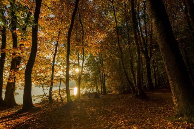 Обои картинки фото природа, дороги, река, лес