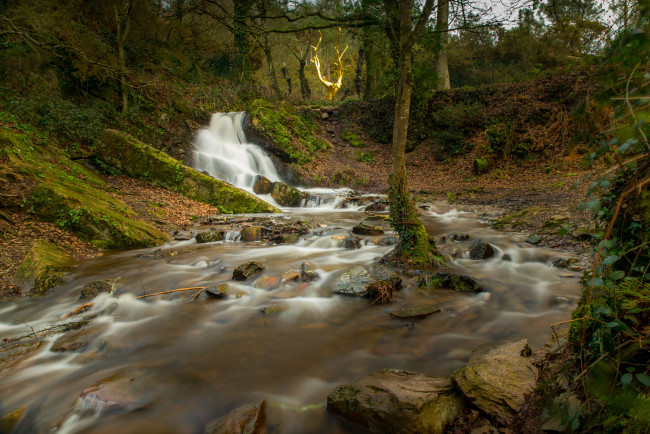 Обои картинки фото природа, водопады, лес, река, водопад