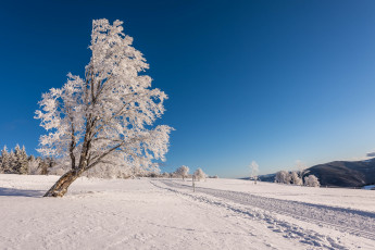 Картинка природа зима простор