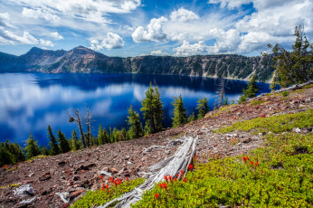 Картинка природа реки озера простор