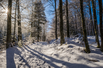 Картинка природа зима простор