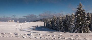 Картинка природа зима простор