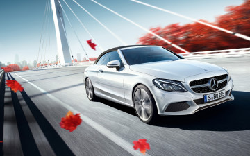 Картинка автомобили mercedes-benz скорость белый мерседес осень листья мост
