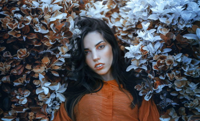 Обои картинки фото девушка, девушки, -unsort , брюнетки, темноволосые, модель