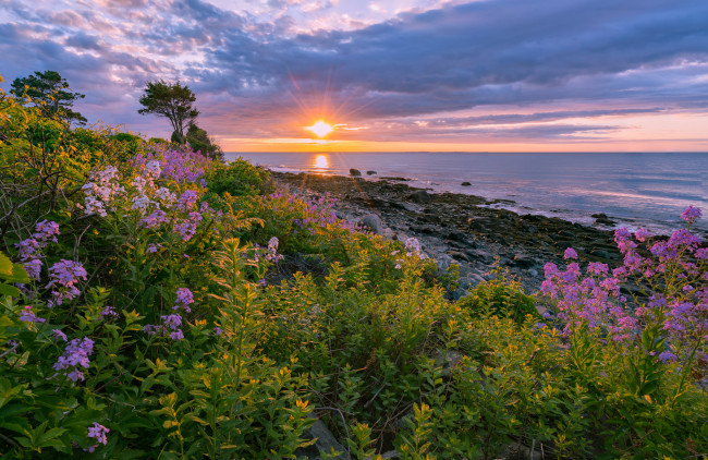 Обои картинки фото природа, луга, простор