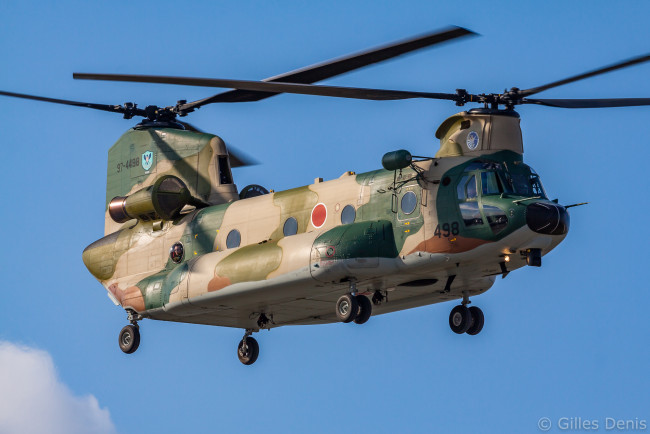 Обои картинки фото ch-47j, авиация, вертолёты, ввс